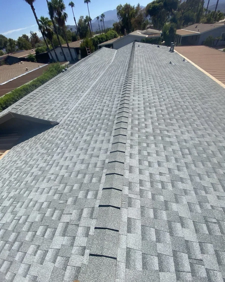 A long grey shingle roof running to its ridge cap, neighbouring roofs and palms beyond